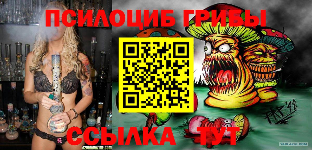 Галлюциногенные грибы Psilocybe  Вход с VPN  Сибай 
